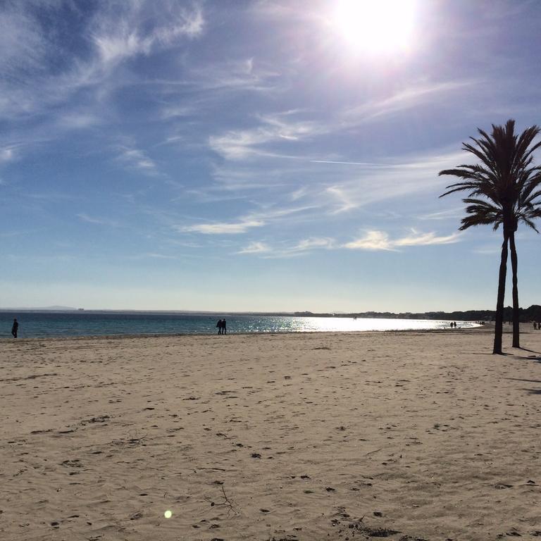 Minerva Beach Port de Alcudia  Dış mekan fotoğraf